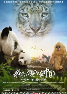 幻想叙谭艾尔西亚 O