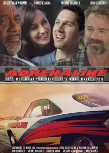 龙门驿站之奇缘