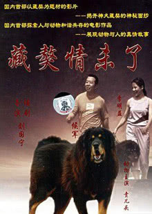 龙纹身的女孩2011